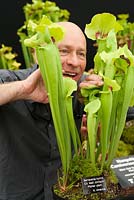 New variety - Sarracenia hybrid C.V. Matt Johnson - pitcher plant cultivated by Matt Soper of Hampshire Carniverous Plants Chelsea flower show 2014