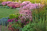 Autumn border in pink with dahlia 'Princess Park', Aster 'Jenny', Chrysanthemum 'Clara Curtis', Sedum 'Autumn Joy', Veronicastrum 'Pink Glow' and gaura. Ulting Wick, Essex