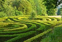 The anniversary maze planted in 2000 to celebrate the 250th birthday of the garden. Painswick Rococo Garden, Gloucestershire 
