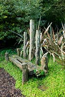 Rustic wooden bench next to phormiums 