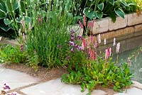 A water collection system by sandstone paving path and wall and planting of Polygonum affine, Hosta, Lavandula and Thymus in The Precious Resources Garden at RHS Tatton Flower Show 2013