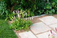 Detail of sandstone paving path with planting of Polygonum affine in The Precious Resources Garden at RHS Tatton Flower Show 2013