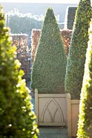 Winter garden in frost - versailles containers planted with clipped topiary box pyramids