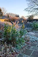 Winter garden in frost - view across lanhydrock garden at dawn with roses and an urn in background