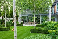 View across lawn to limestone patio with table and chairs, Betula jacquemontii - The Glass House, Petersham - Architects Terry Farrell Partners - Garden design by Sallis Chandler 