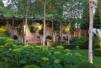Modern garden at night with wooden pergola, Betula jacquemontii and Hydrangea 'Annabelle' - The Glass House - Architects Terry Farrell Partners - Garden design by Sallis Chandler