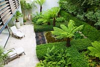 View down onto limestone patio with tree ferns - dicksonia antartica and black pool 