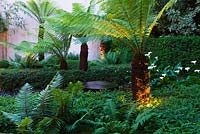 Tree ferns beside black pebble pool and fountain - lit up at night 