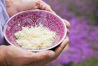 Woman holding bowl of grated horseradish roots. 