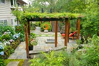 Summer garden with black steel and cedar arbor with Akebia quinata - Chocolate Vine and Hydrangea macrophylla - Mophead Hydrangea.