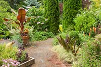 Summer mixed border with conifers, deciduous shrubs, herbs and tropicals. Ensete ventricosum 'Maurelli' - Abysinnian Red Banana, Eucomis 'Sparkling Burgundy' - Pineapple Lily, Nasella tenuissima - Mexican Feather Grass.