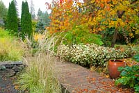 Fall garden with wooden plank pathway and ceramic pot fountain. Cercis canadensis 'Forest Pansy' - Eastern Redbud, Calamagrostis x acutiflora 'Eldorado' - Feather Reed Grasses, Persicaria virginiana syn. Polygonum virginianum syn. Tovara virginiana 'Painter's Palette' - Knotweed.