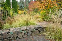 Fall garden with gabion stone wall adjacent to wooden plank pathway. Molinia caerulea 'Variegata' - Purple Moor Grass, Calamagrostis x acutiflora 'Eldorado' - Feather Reed Grass.
