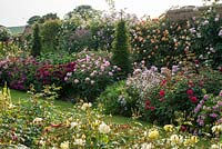 Walled rose garden. The Lion Garden, David Austin Roses, Albrighton, Wolverhampton