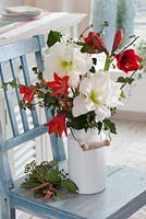 Hippeastrum 'White Peacock' and 'Kolibri Red' and 'Red Lion' - mixed Amaryllis in white vase with Ivy posy on blue chair