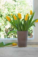 Yellow tulips in vase on windowsill