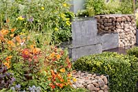 Grey stone steps, Buxus sempervirens, spring flowering plants and gabion baskets, 'Ooooh - it makes me wonder', show garden, RHS Malvern Spring Festival 2014