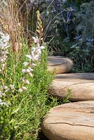 Circular wooden stairway leading through garden, with planting of Rosmarinus officinalis. Garden: The Room with a View. Designer: Mike Harvey. Sponsor: Arun Landscapes