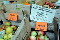 Flyers advestising a local organic fruit and vegetable or veg box scheme attached by a peg to boxes of 'Monarch' and 'Winter Gem' apples - Apple day event in Walthamstow, London