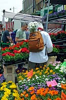 Man at plant stall with bunch of flowers in his rucksac, Chaple Market, London Borough of Islington.