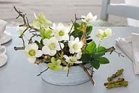 Arranging Helleborus niger - Christmas roses and lichen covered branches in zinc pot  - finished arrangement
