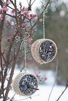 Bird food step by step - finished homemade seed holders hanging from tree in winter