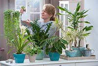 Woman spraying houseplants with water
