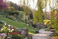 The Rookery, Preston Park Rock Garden, Brighton Sussex in spring with overhanging Salix - Willow and Tulipa
