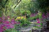 Bog garden with Primulas - Cotswold Farmhouse 
 