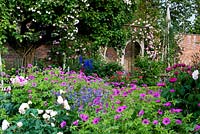 Geranium psilostemon, polemonium, roses and peonies in highly floral border in walled garden. A rose arbour covreed seat in the background supports Rosa Constance Spry.  Seend, Wiltshire