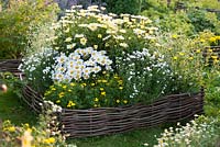 White-yellow flower bed with edging of hazel rods
