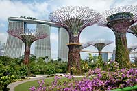 The Supertree Grove, aerial walkways and Marina Bay Sands hotel, Gardens by the Bay, Singapore