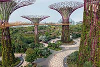 The Supertree Grove and aerial walkways, Gardens by the Bay, Singapore