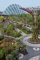 The Supertree Grove and Cloud Forest, Gardens by the Bay, Singapore