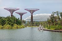 Supertrees and the Flower Dome by the Silver Garden, Gardens by the Bay, Singapore