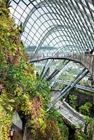 The 35-metre tall planted walls and aerial walkway in the Cloud Forest, Gardens by the Bay, Singapore
