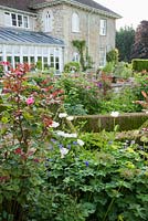 Box edged beds on the formal terrace contain roses including stripey Rosa 'Ferdinand Pichard' underplanted with hardy geraniums and alliums. Forest Lodge, Pen Selwood, Somerset, UK