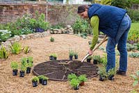 Woman preparing hole for planting herbs in herb wheel 