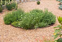 Plants include Rosemary 'Fota Blue', Lavandula angustifolia 'Hidcote', Thymus 'Doone Valley', Thymus vulgaris, Pot Marjoram, Chervil, Mint 'Swiss', Thymus serpyllum and Chamomile 'Double'. 