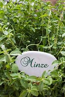 German plant label for Mint 'Swiss'. 