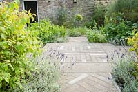 Formal herb garden with standard bay at its centre. Old Rectory, Batcombe, Somerset, UK