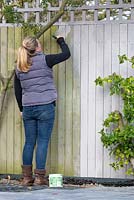 Woman painting a garden fence.