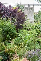 Borrowed view of the tower of the church of St Rumonus, framed with Cotinus coggygria 'Royal Purple' and globe artichokes. Parc-Lamp, Ruan Lanihorne, Truro, Cornwall, UK
