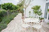 A terrace of white travertine surrounds the house with pots containing citrus, olives and Prostanthera sieberi, Australian mint, adding to a Mediterranean atmosphere. Parc-Lamp, Ruan Lanihorne, Truro, Cornwall, UK
