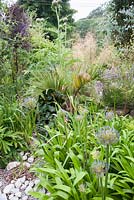 Area surfaced with gravel and pebbles is planted with interesting foliage plants including grasses, palms, bamboos and agapanthus. Parc-Lamp, Ruan Lanihorne, Truro, Cornwall, UK