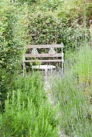 A narrow gravel path squeezes between borders of lavender and rosemary leading to a seat with a screen of Trachelospermum jasminoides behind it. Parc-Lamp, Ruan Lanihorne, Truro, Cornwall, UK