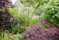 Glimpse into another area of the garden is framed by foliage plants including acer, bamboo, cotinus and cercidiphyllum. Parc-Lamp, Ruan Lanihorne, Truro, Cornwall, UK