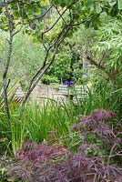 Glimpse into area of the garden framed by foliage plants including acer. Parc-Lamp, Ruan Lanihorne, Truro, Cornwall, UK