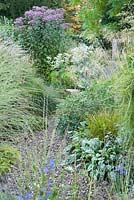 The gravel garden is planted with a range of ornamental grasses such as miscanthus and Stipa gigantea, and herbaceous perennials including eupatorium, salvias, pulmonarias and bronze fennel - Windy Ridge
