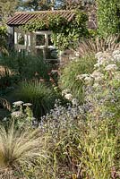 The gravel garden is planted with a range of grasses, herbaceous perennials and shrubs including miscanthus, blue Eryngium planum 'Tetra Blau', echinaceas and Selinum wallichianum - Windy Ridge